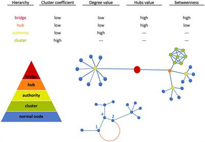 Role of Complex Networks for Integrating <mark class="highlighted">Medical Images</mark> and Radiomic Features of Intracranial Ependymoma Patients in Response to Proton Radiotherapy